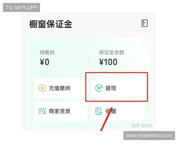 利博体育安全支付方式与资金管理指南保障玩家资金安全与便捷提现